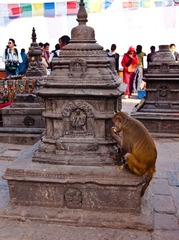 DSC00086.jpg