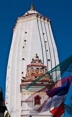 DSC00091.jpg