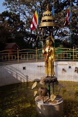 DSC00113.jpg