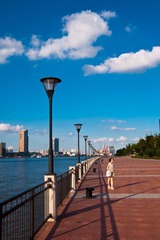 DSC02031.jpg