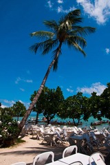 DSC04287.jpg