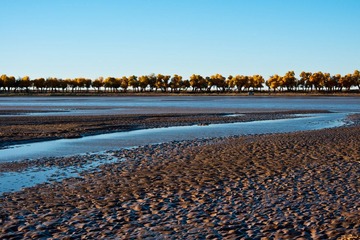DSC07477.jpg
