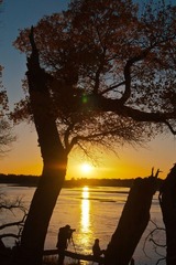 DSC07707.jpg