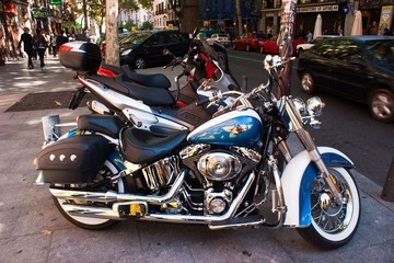 DSC05483.jpg