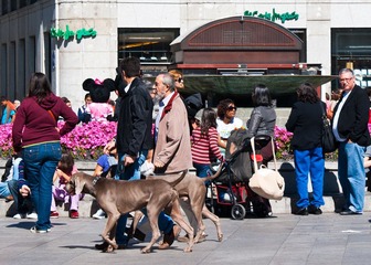 DSC05514.jpg