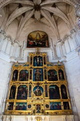 DSC06495.jpg