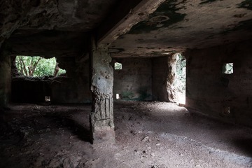 DSC01788.jpg