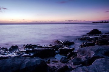 DSC03111.jpg