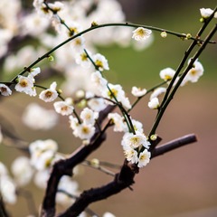 DSC03213.jpg