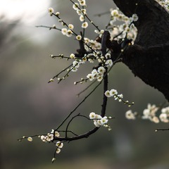 DSC03223.jpg