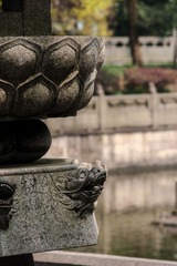 DSC03577.jpg