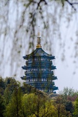 DSC03604.jpg