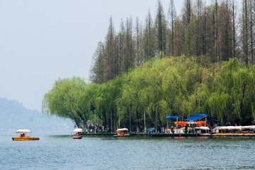 DSC03610.jpg