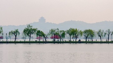 DSC03804.jpg