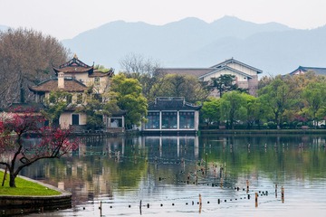 DSC03880.jpg