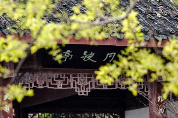 DSC03902.jpg