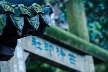DSC03934-2.jpg