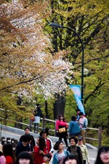 DSC04508.jpg