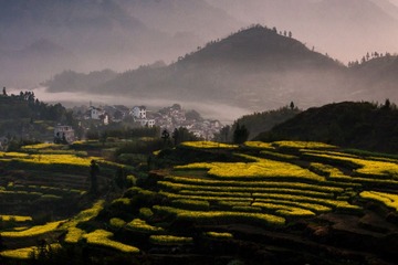 _DSC0133