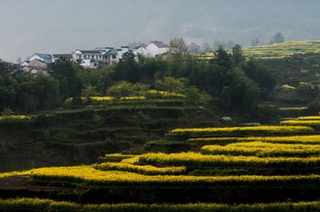 _DSC0137