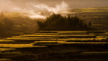 _DSC0177