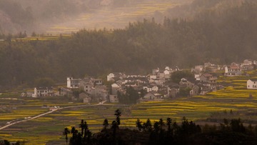_DSC0280