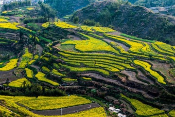 _DSC0284