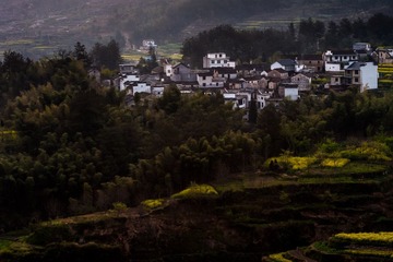_DSC0291