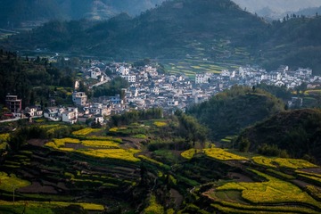 _DSC0296