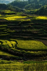 _DSC6254