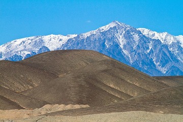 IMG_4096.jpg