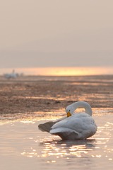 IMG_2697-103