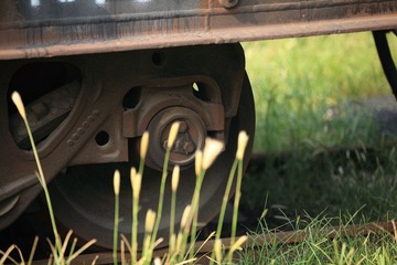IMG_6502.JPG