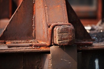 IMG_6510.JPG