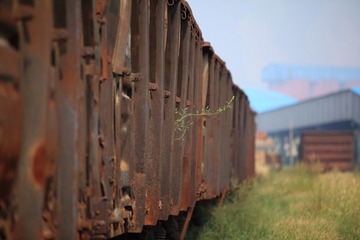 IMG_6511.JPG