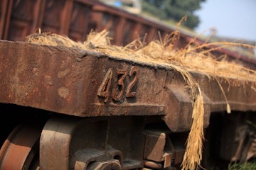 IMG_6548.JPG