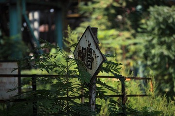 IMG_6706.JPG