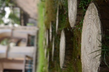 DSC_0100.JPG