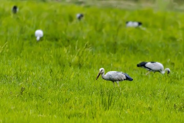 _DSC0805