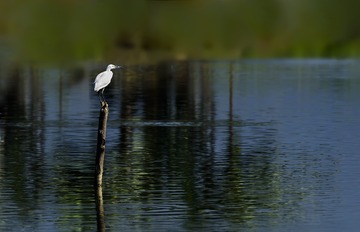 _DSC9490