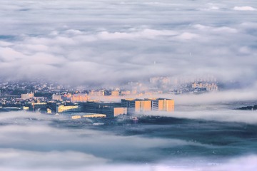 _DSC7482