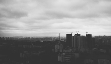 1040163372