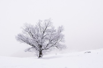 DSC09197_副本.jpg