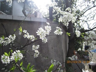 IMG_2428.JPG