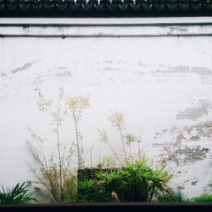 2014-12-01 01.54.50 1