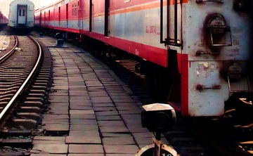 P1090541a.jpg