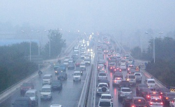 P1180171-2.jpg