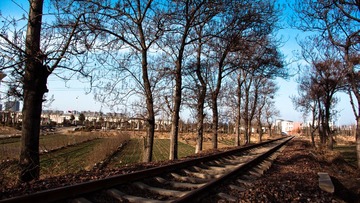 P1200442.jpg
