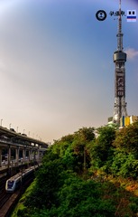 _DSC0210-1