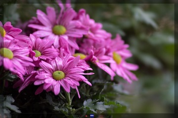 _DSC0644